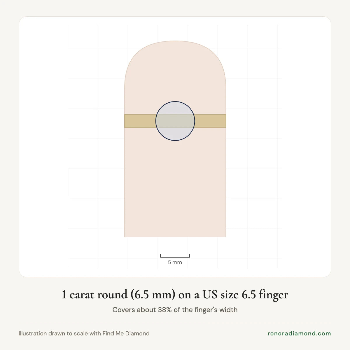 Illustration of a 1 carat round diamond ring, 6.5 mm, on a US size 6.5 finger, drawn to scale