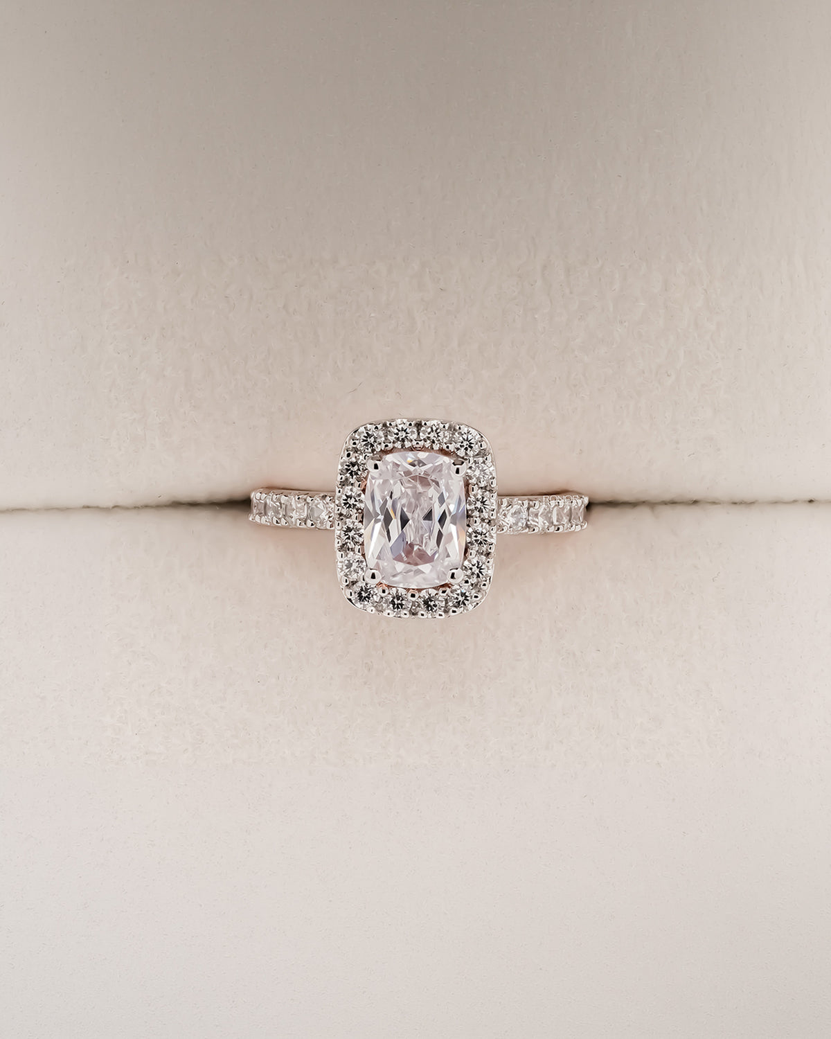 Celina cushion moissanite halo ring in rose gold inside Ronora box