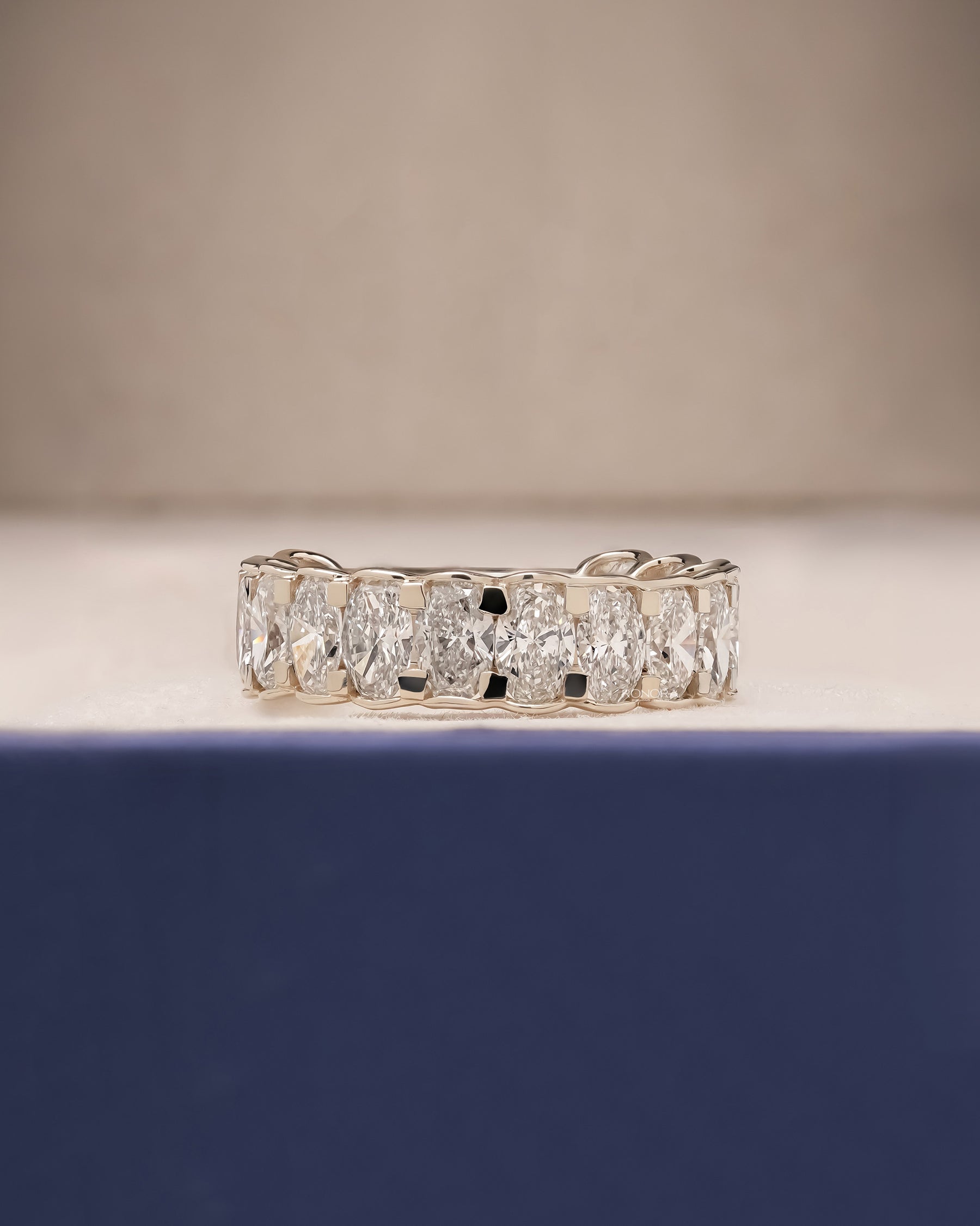 Anika oval lab grown diamond eternity band in white gold inside Ronora box