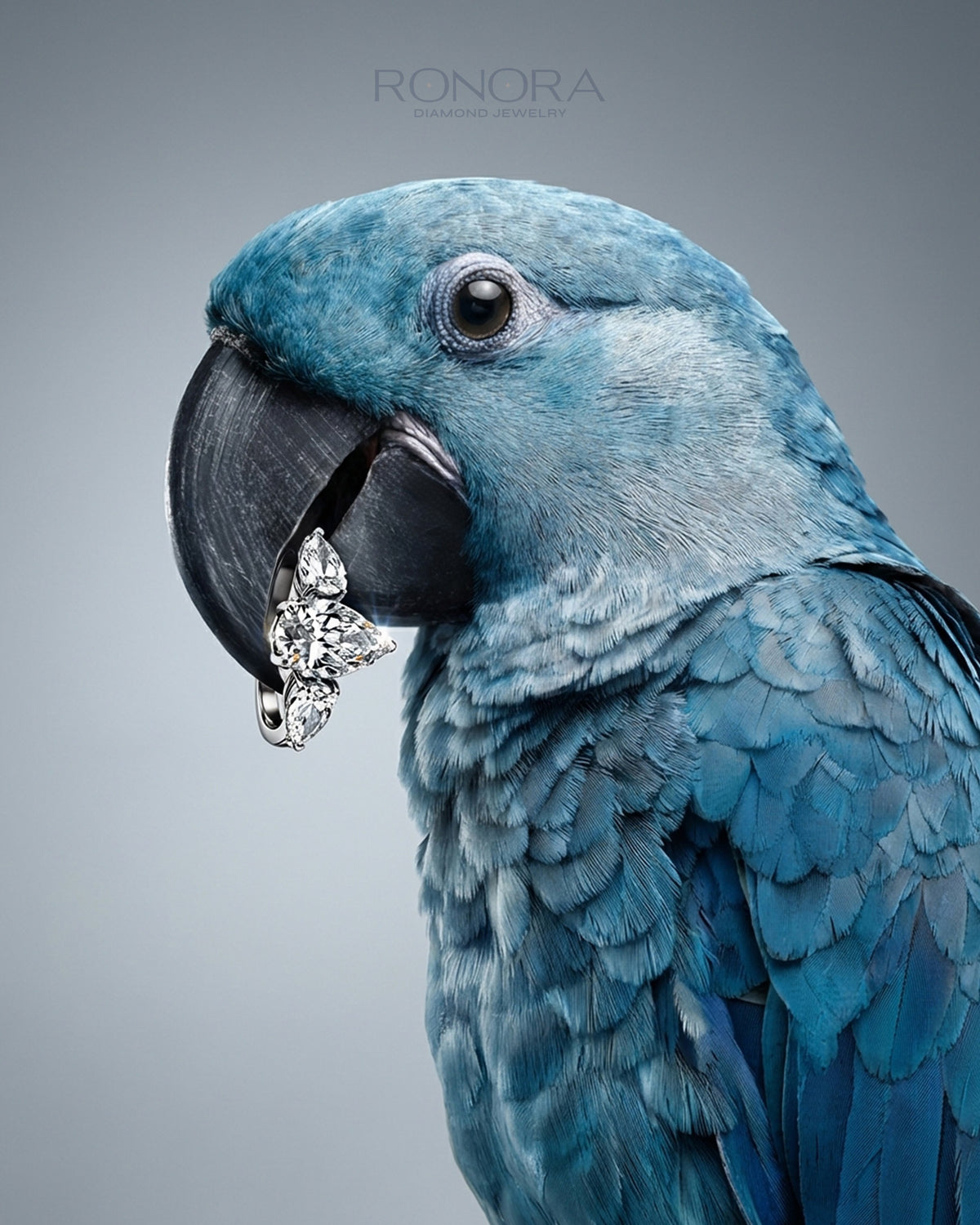 Pear three stone lab grown diamond engagement ring held in the beak of a blue parrot, creative styled scene